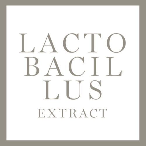 LACTOBACILLUS EXTRACT INGREDIENT